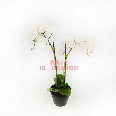 東莞廠家直銷，優(yōu)質(zhì)仿真盆栽裝飾，定制您的理想塑料植物盆景