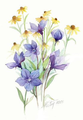 色彩水彩與網(wǎng)絡(luò)技術(shù) 清新雅致的手繪插畫在數(shù)字時(shí)代的研究與應(yīng)用